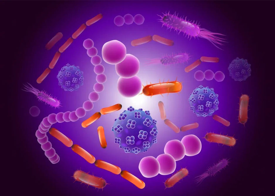 microbioma e aggressività nei cani