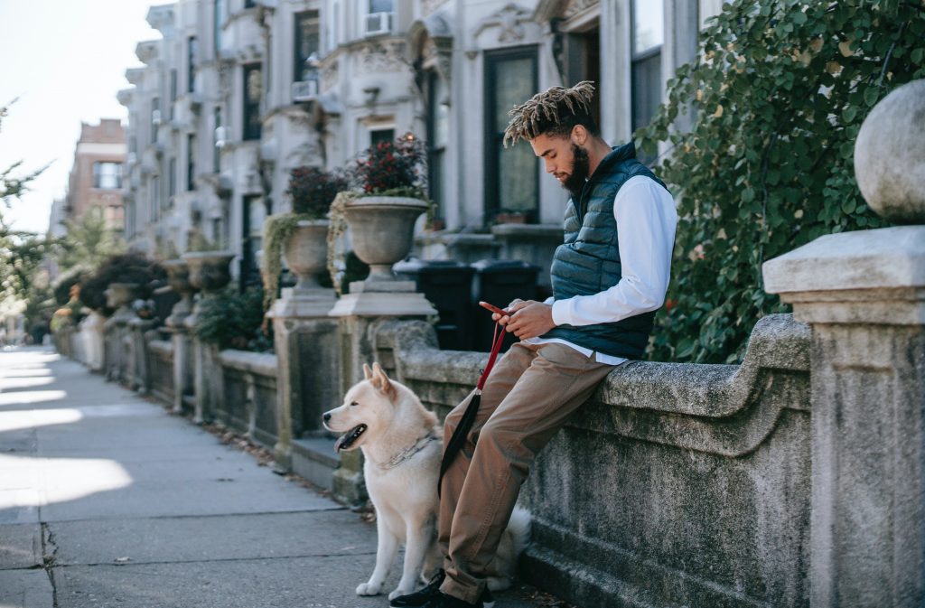 la passeggiata per il cane